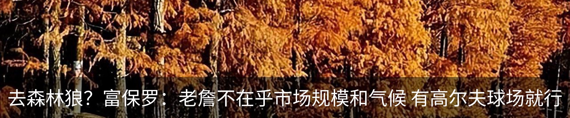 行业资讯