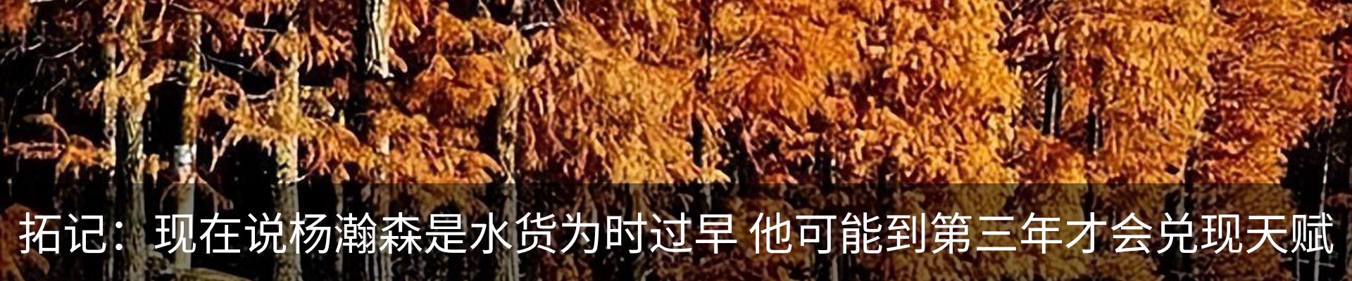 行业资讯