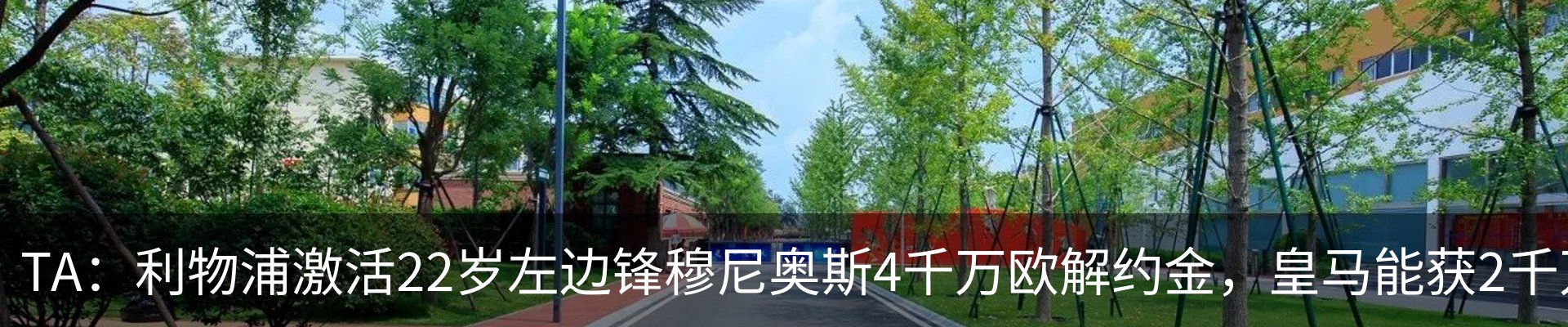 行业资讯